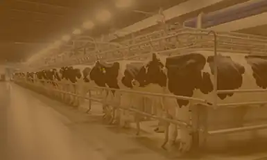 DAIRYCON USA 2026
