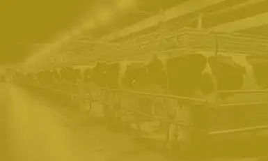 DAIRYCON USA 2026
