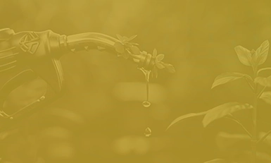 Biofuels Congress, USA 2025